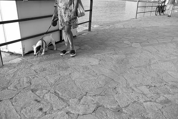 DSC_0276
