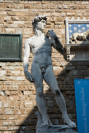 DSC_0385