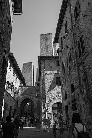 DSC_0919
