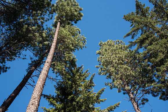 Suncadia2019-45